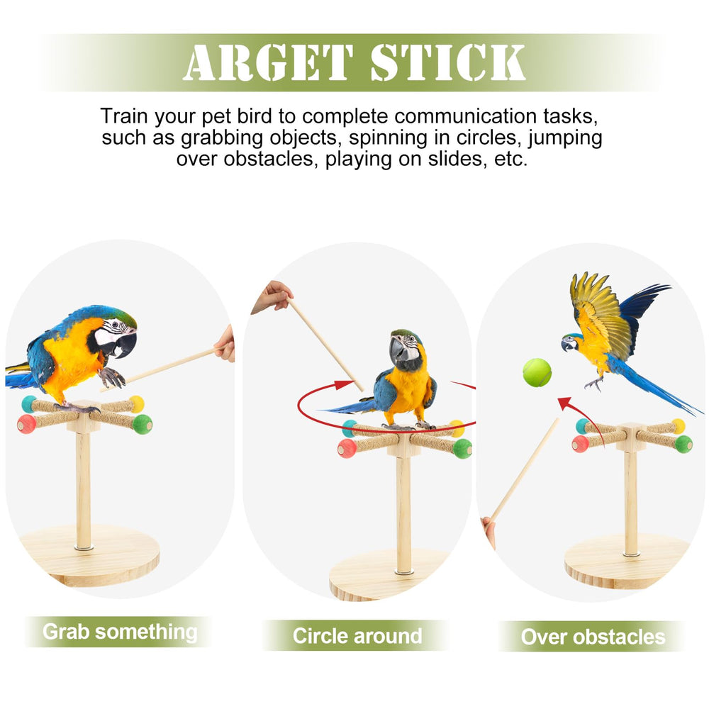 Cunno wooden perch base provides a stable, portable setup.