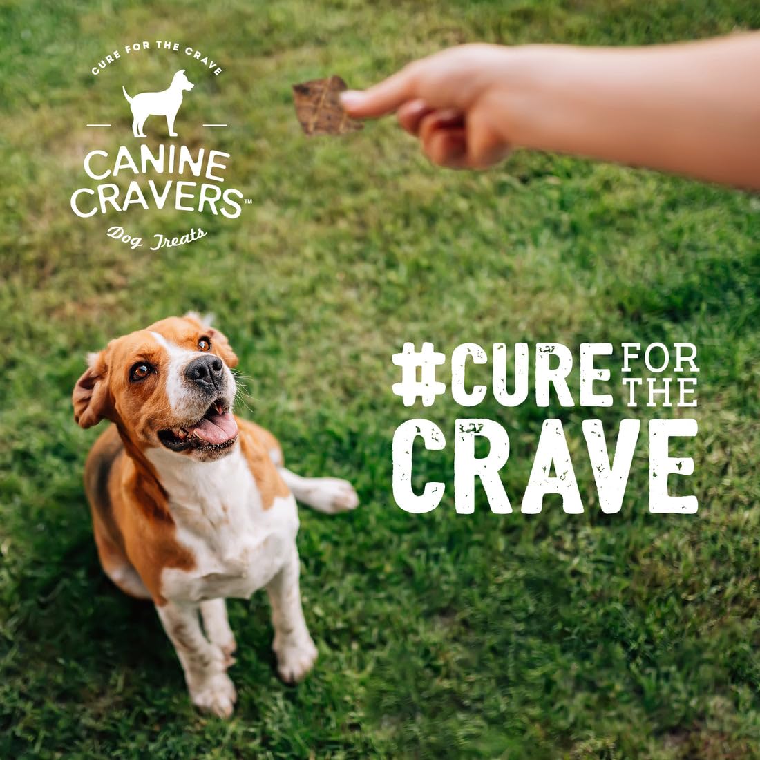 Cure for the Crave Canine Cravers training reward—bite-sized pieces for easy rewards.
