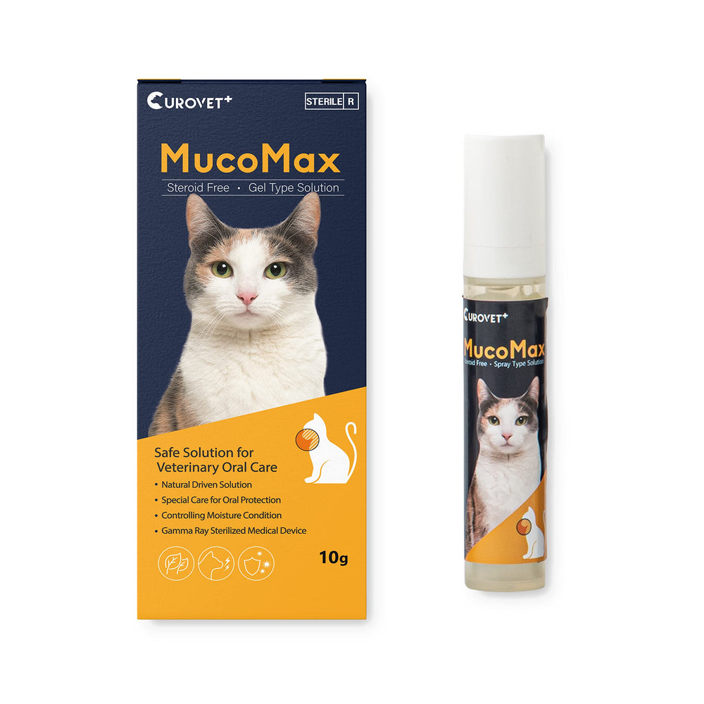 CUROVET MucoMax gel application closeup for soothing pet gums.