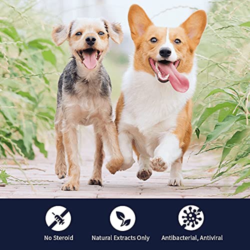 CUROVET MucoMax herbal ingredients support safe long-term use.