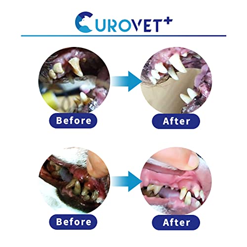 CUROVET MucoMax application on pet mouth area reduces gum discomfort.