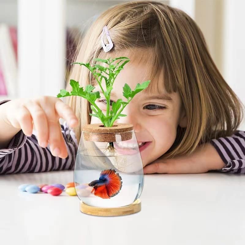 Cusnestal terrarium ready bowl with lid and stand enhances home decor