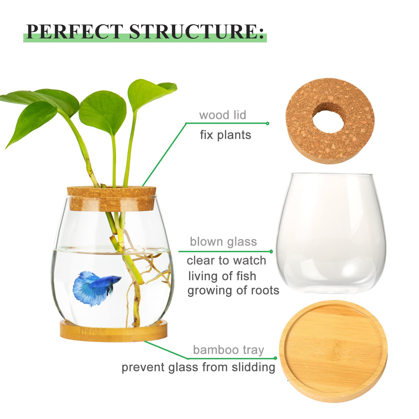 Cusnestal easy clean glass surface simplifies maintenance for fish bowl