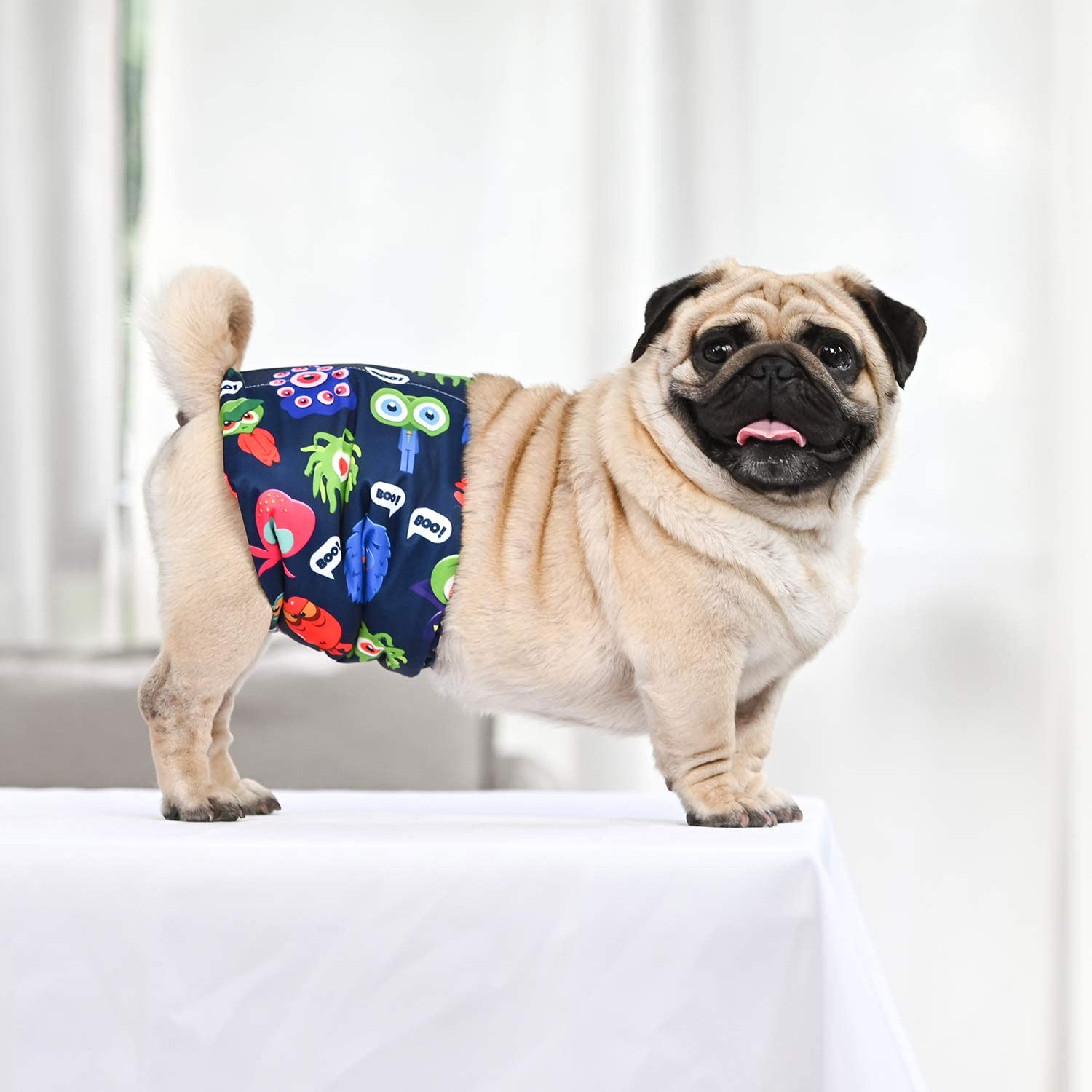 CuteBone belly band sizes XS to L for secure fit.