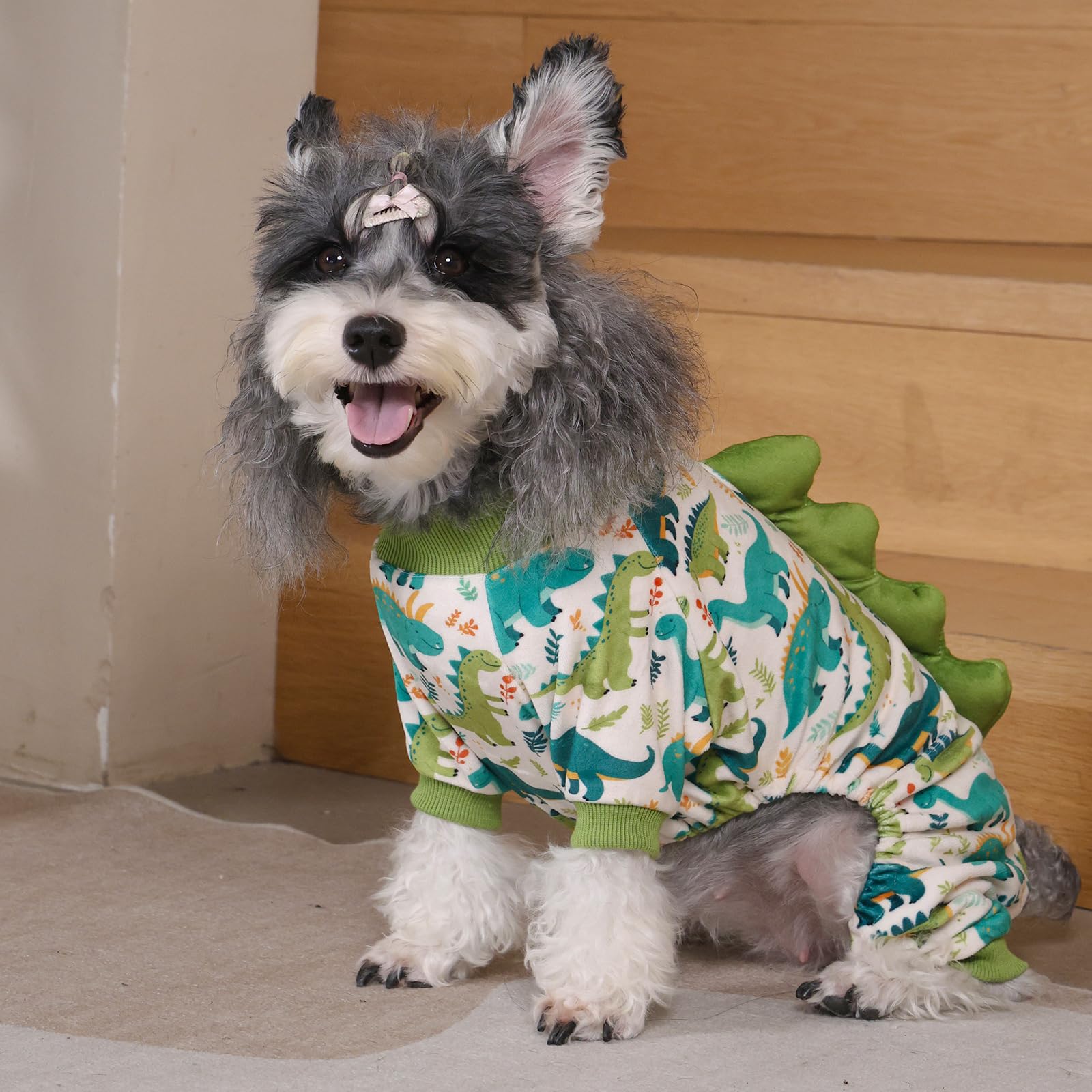 CuteBone dinosaur cosplay for a photoshoot with a smiling pup.