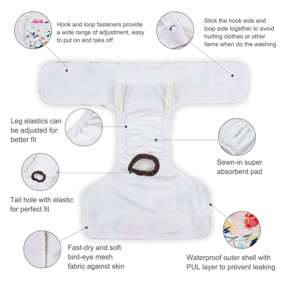 CuteBone absorbent pads prevent leaks while your dog rests after walks