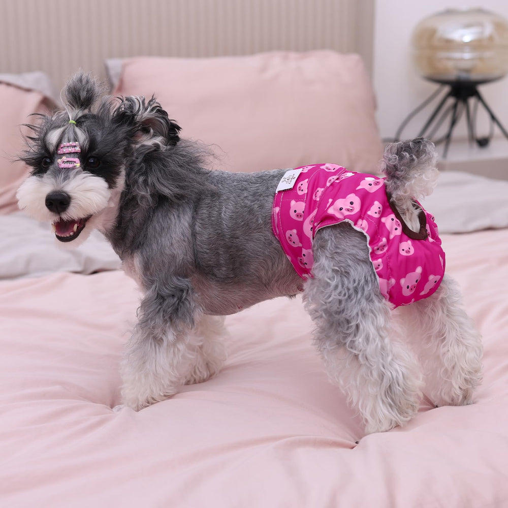 CuteBone absorbent pads help manage moisture quickly