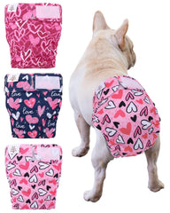 CuteBone diaper on a docked-tail dog with no-tail-hole design for leak prevention