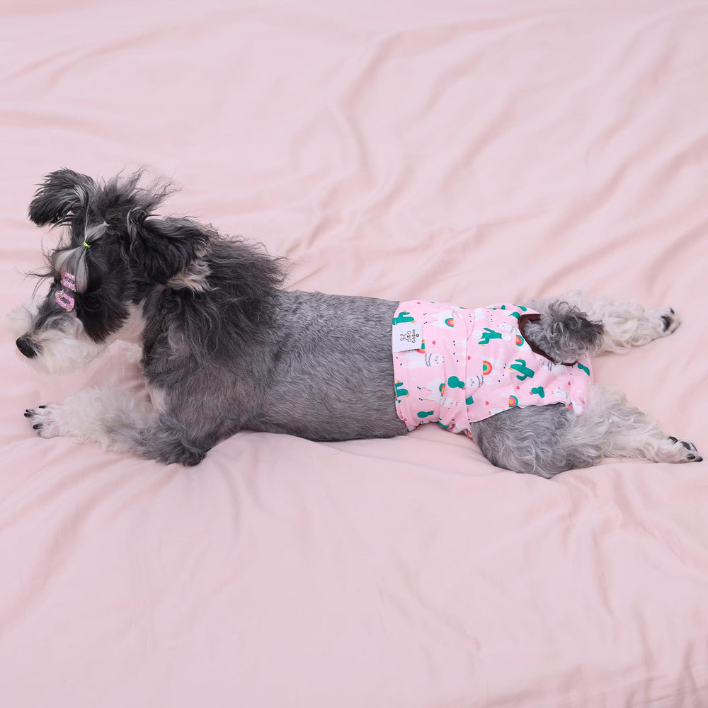 CuteBone easy to clean loops support washing