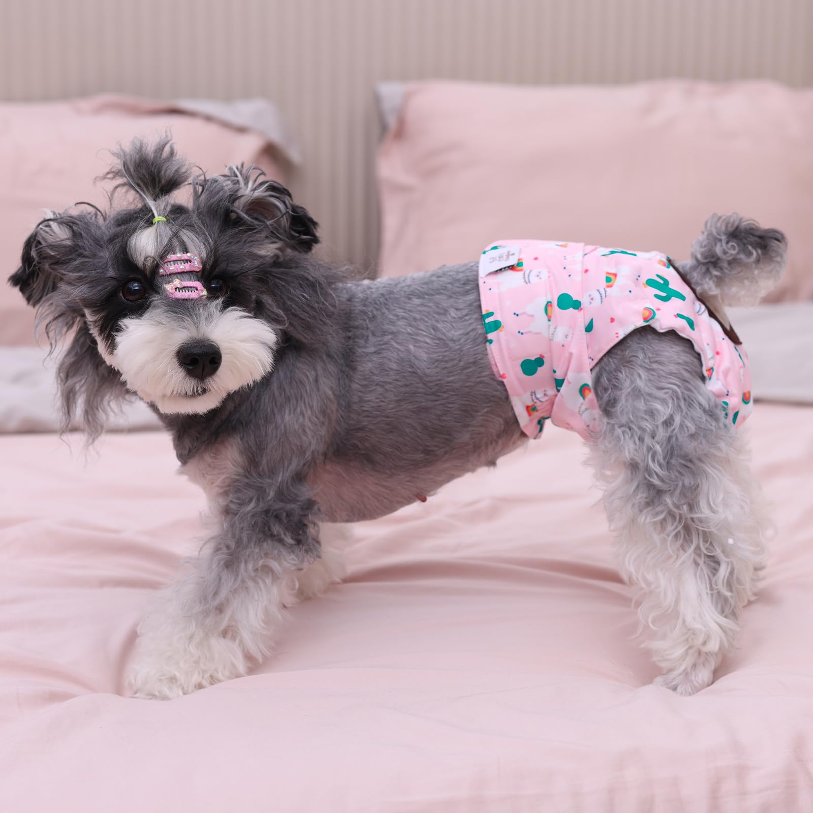 CuteBone dog diapers female washing loops aid thorough cleaning