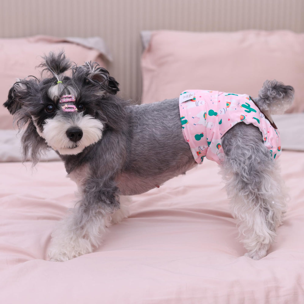 CuteBone dog diapers female washing loops aid thorough cleaning