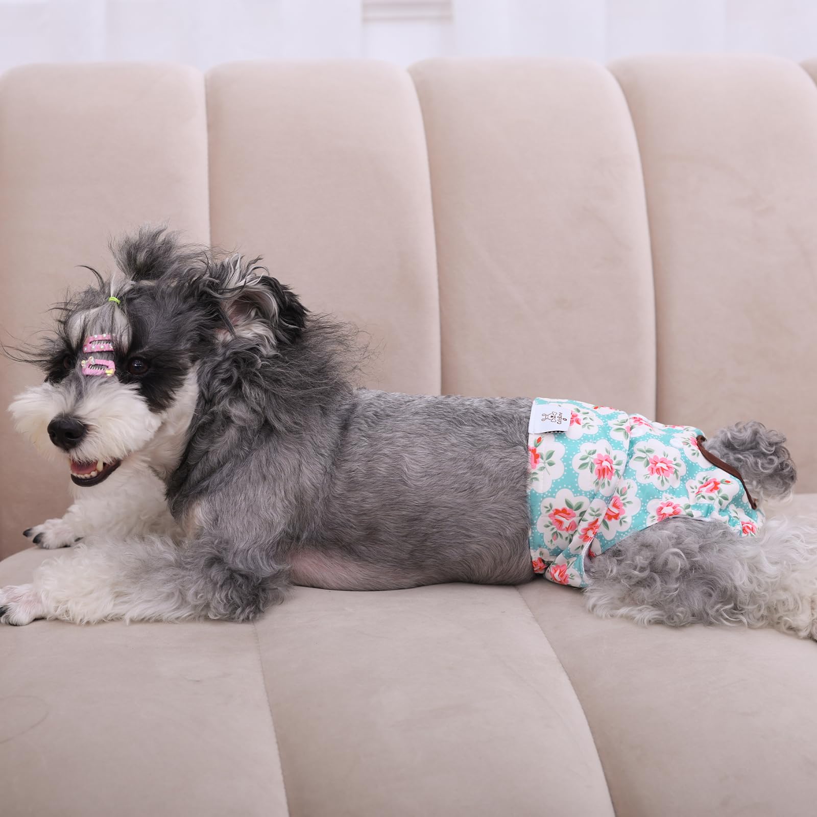 CuteBone dog diapers female small easy-clean loops aid washing.