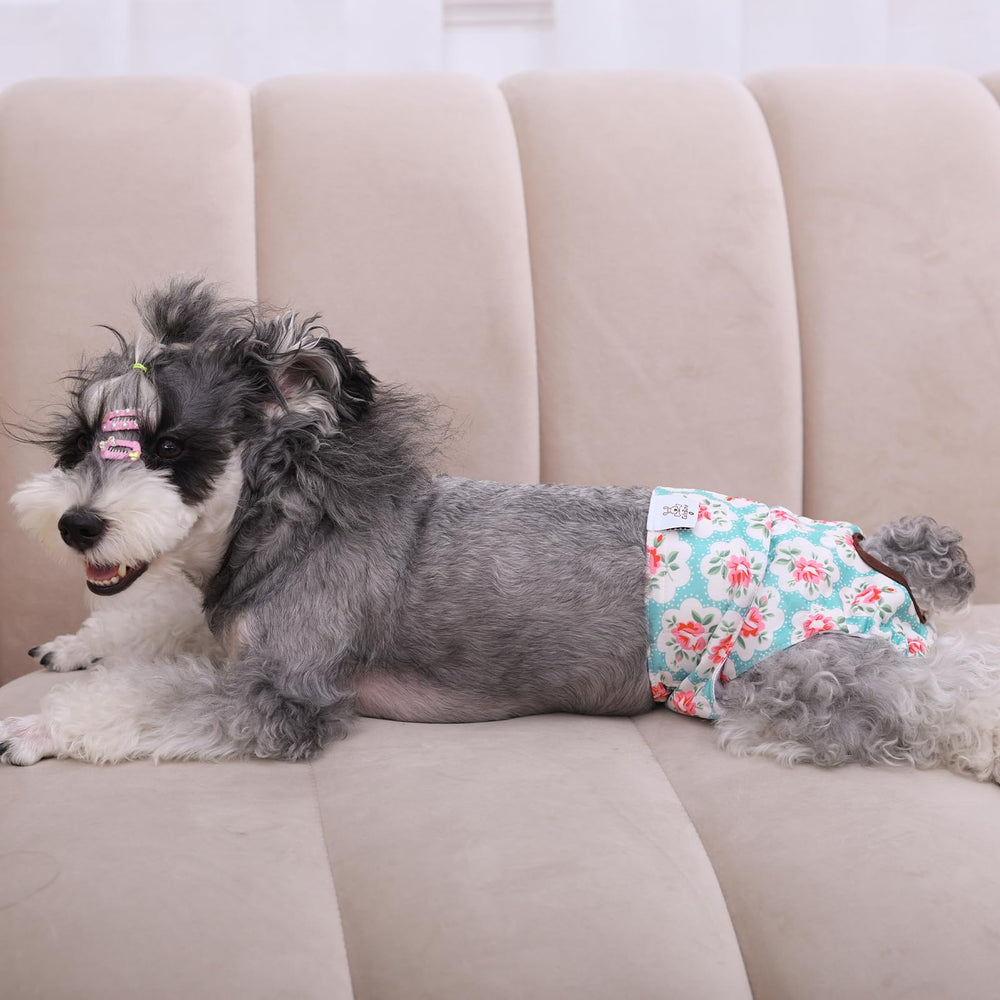 CuteBone dog diapers female small easy-clean loops aid washing.