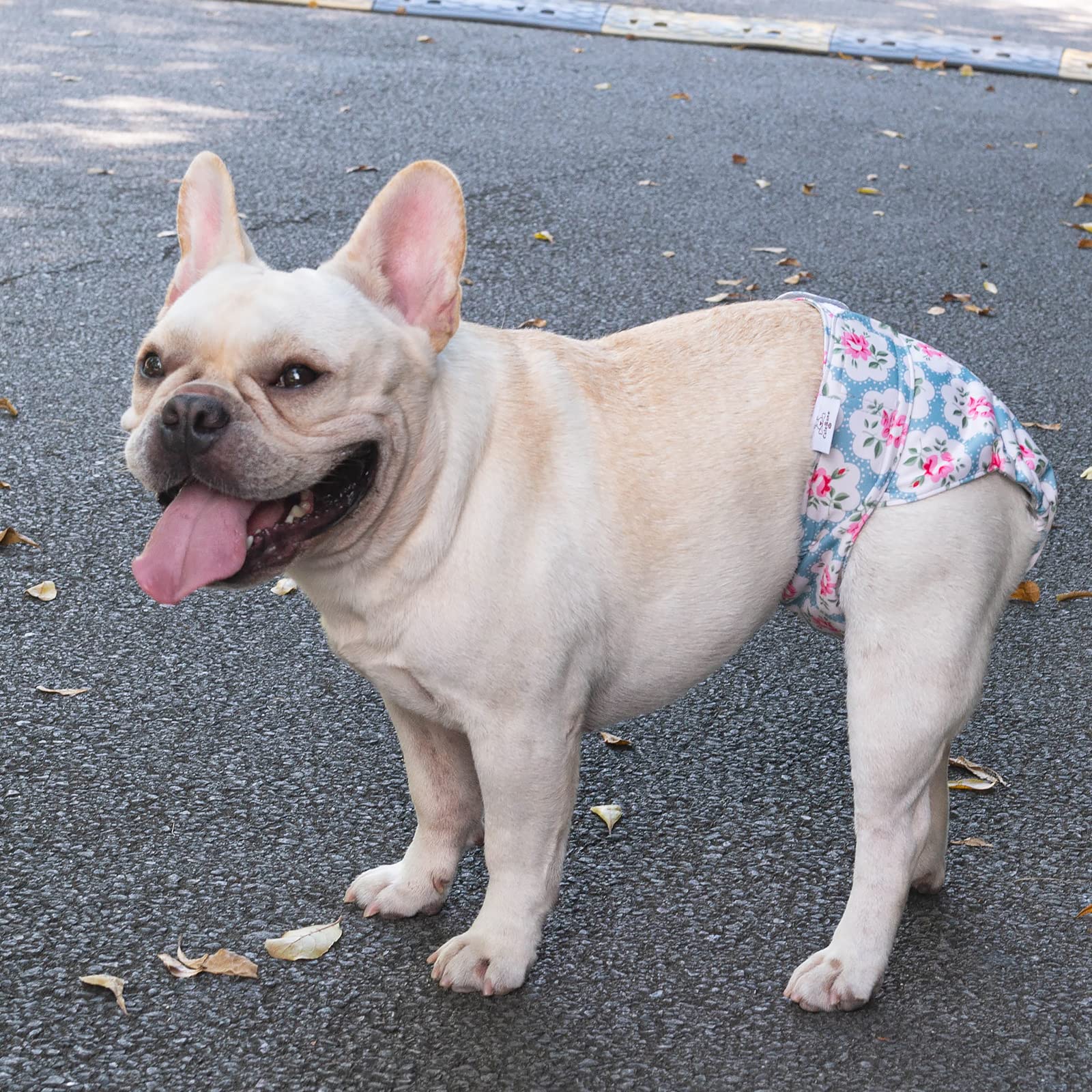 CuteBone diaper supports incontinence management during outings