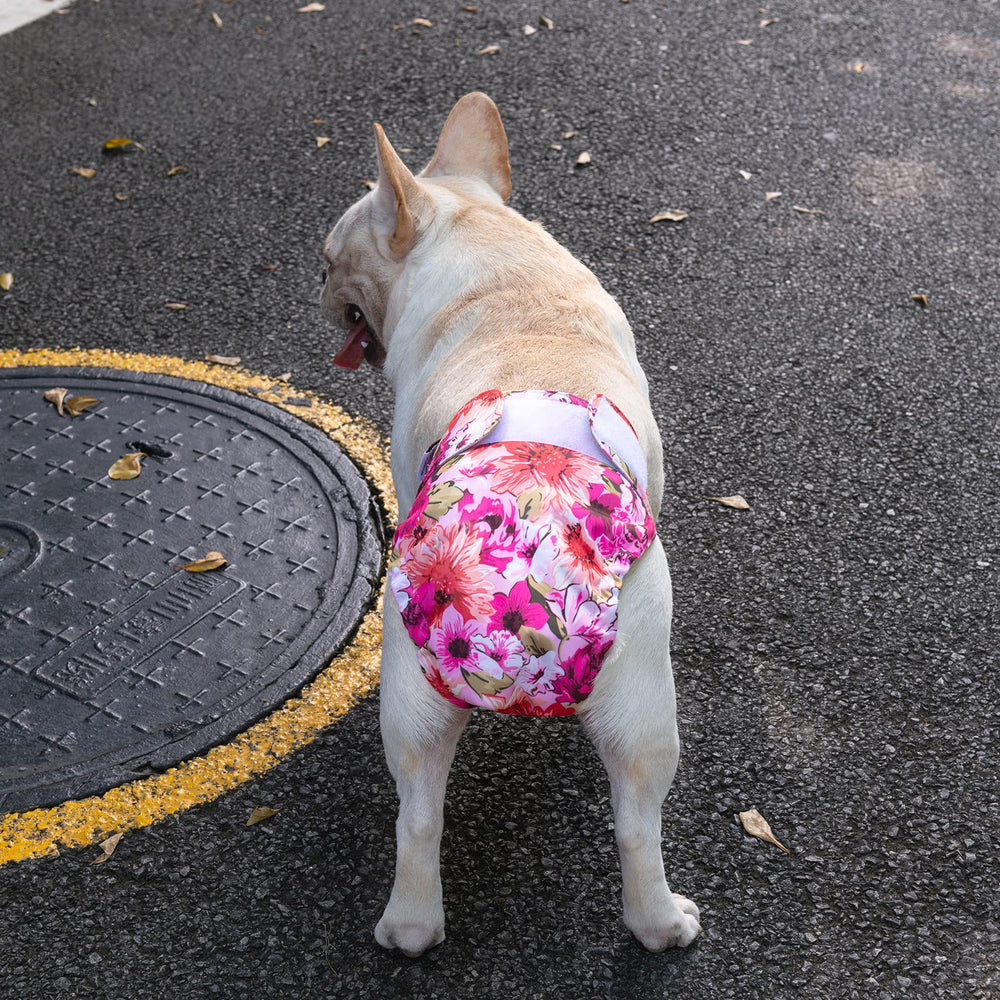 CuteBone reusable design saves money and reduces waste