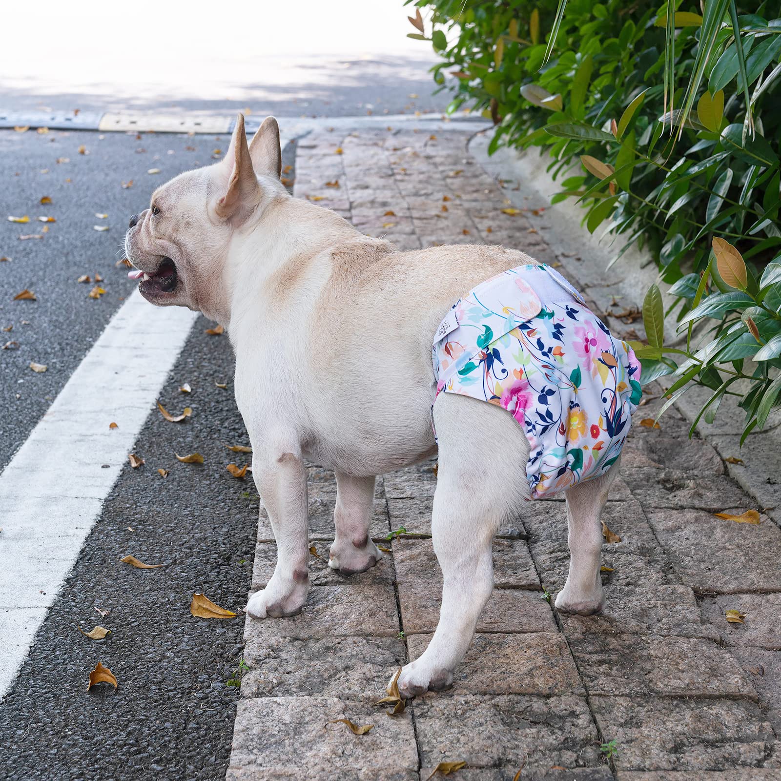 CuteBone fast-dry inner lining keeps dogs comfortable