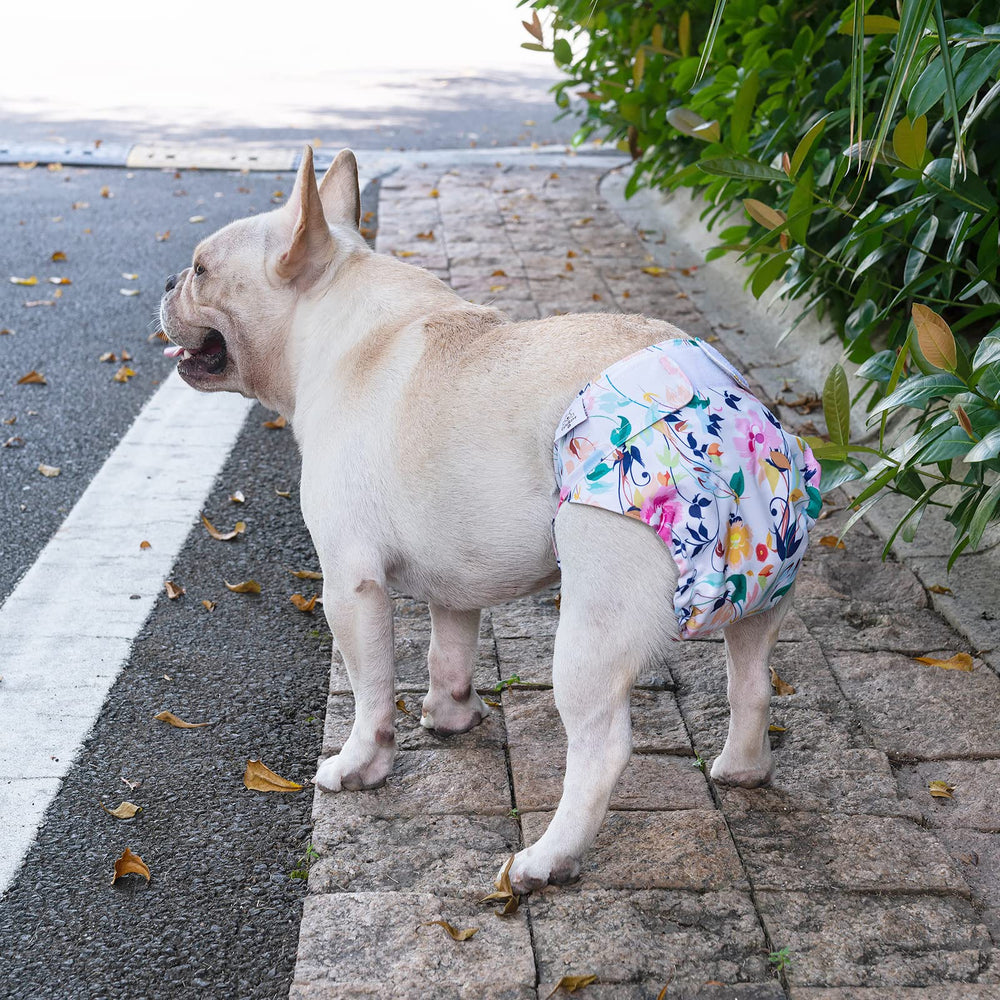 CuteBone fast-dry inner lining keeps dogs comfortable