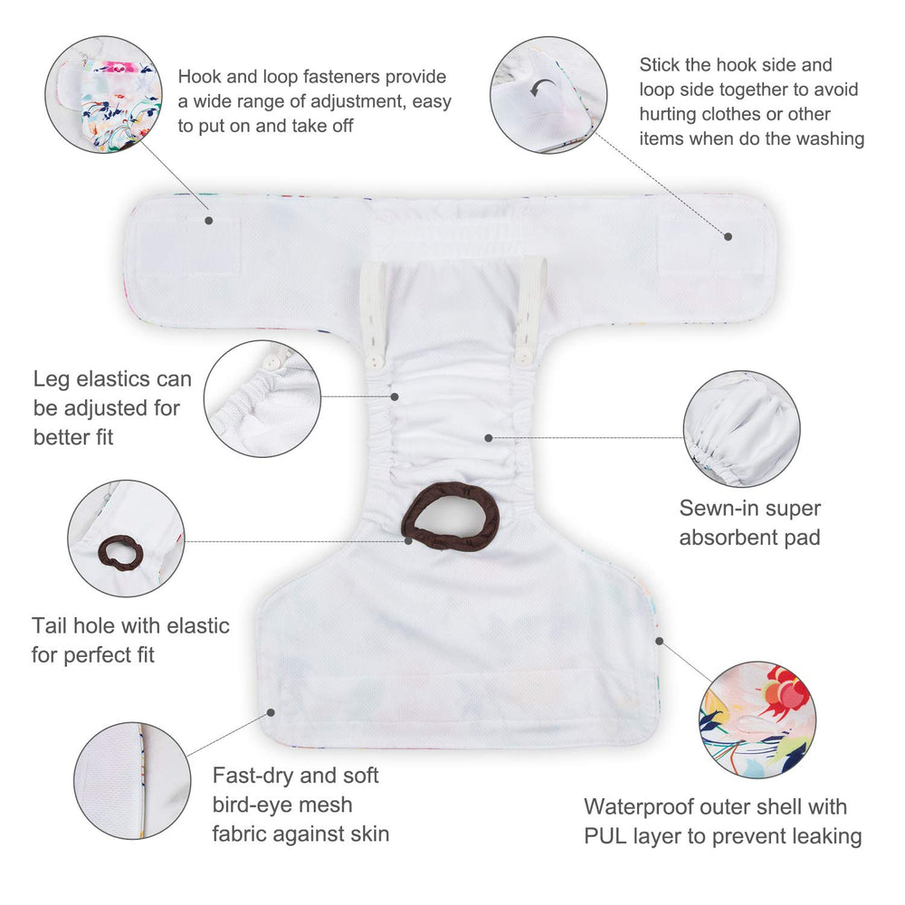 CuteBone tail hole snaps allow customize fit for wagging tails