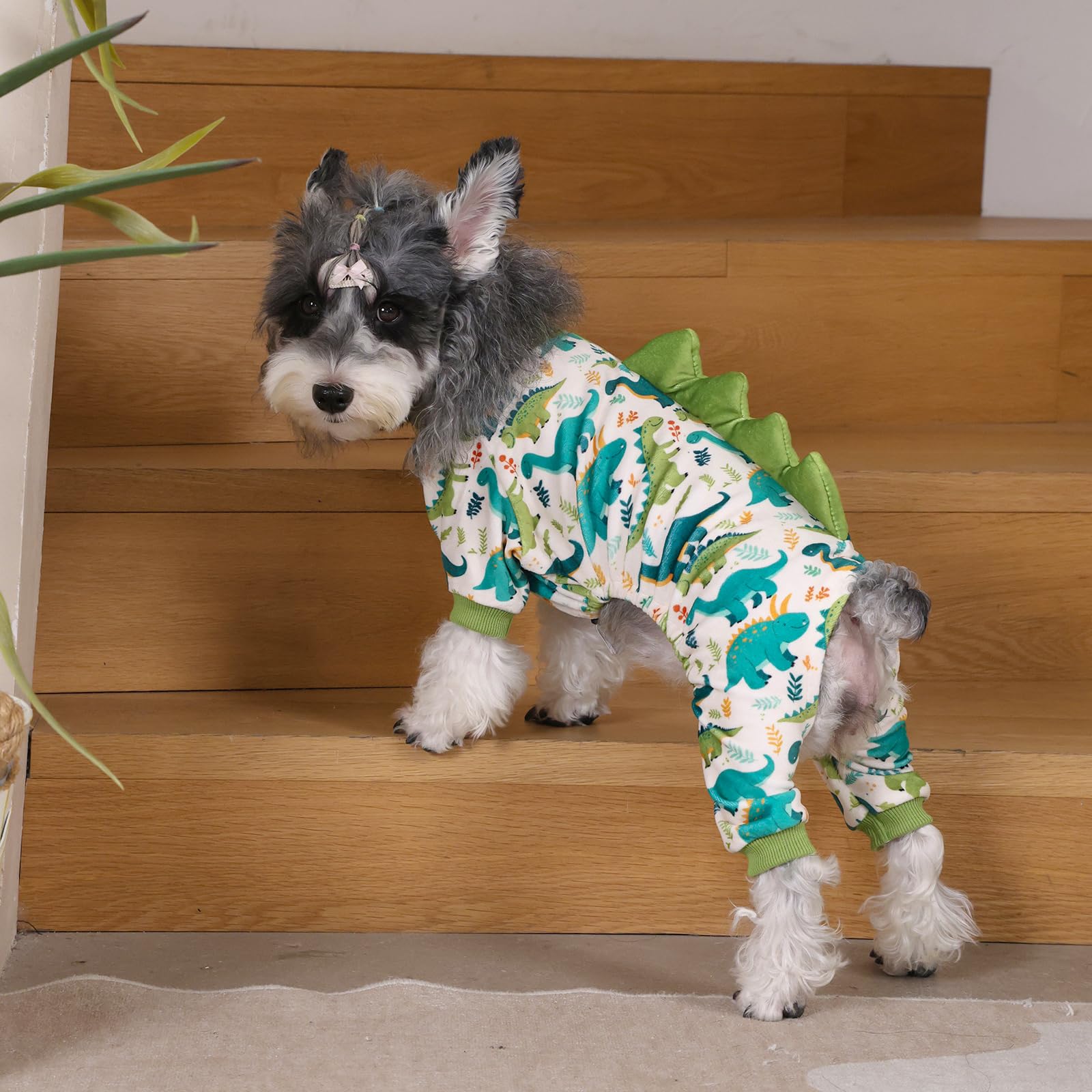 CuteBone Halloween dog costume worn by a cheerful dog for seasonal style.