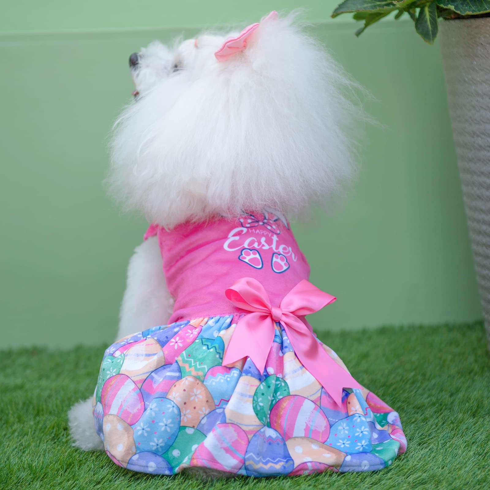 CuteBone Velvet dress packaging image ready for gifting.
