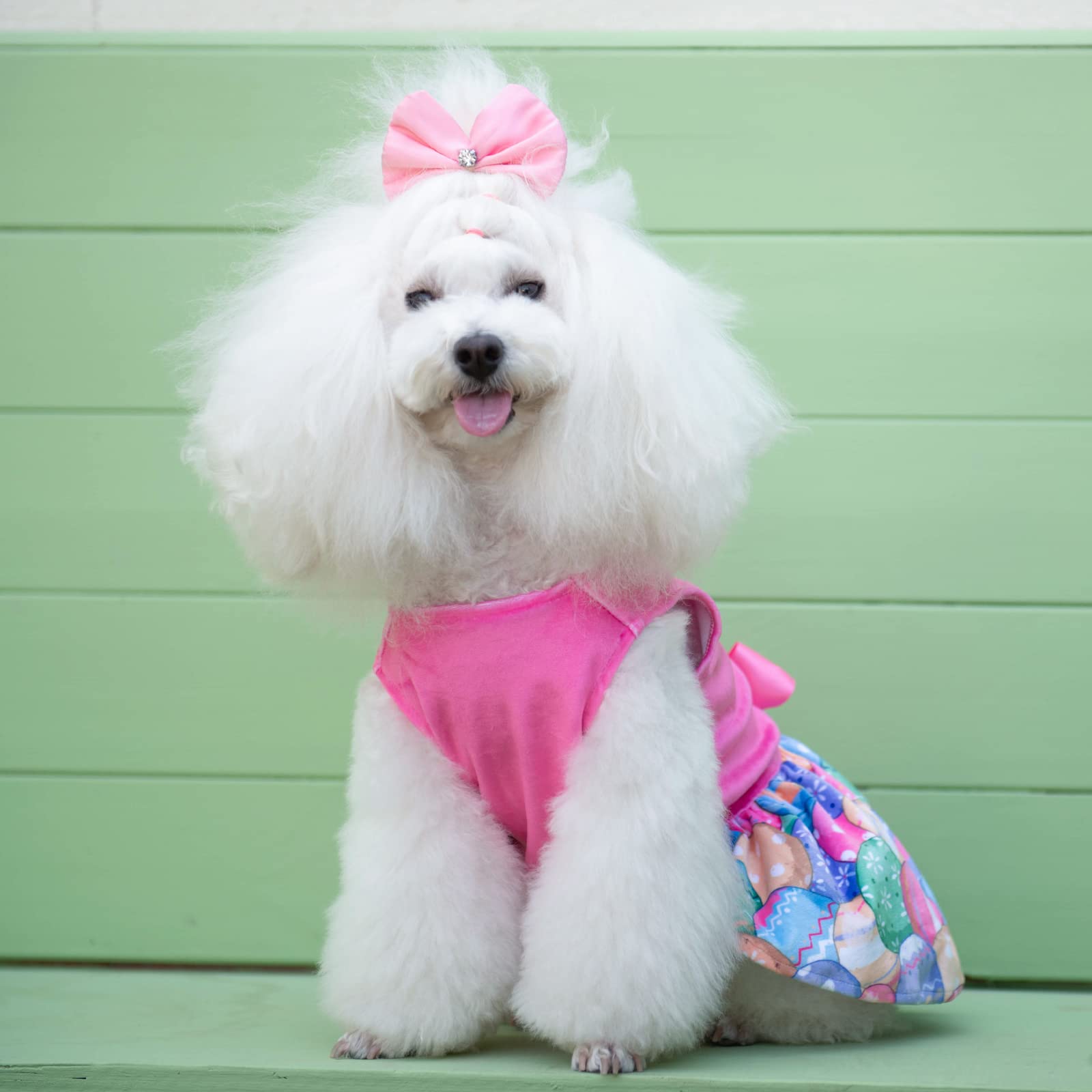 CuteBone pink velvet dress styled for parties and weddings for small dogs.