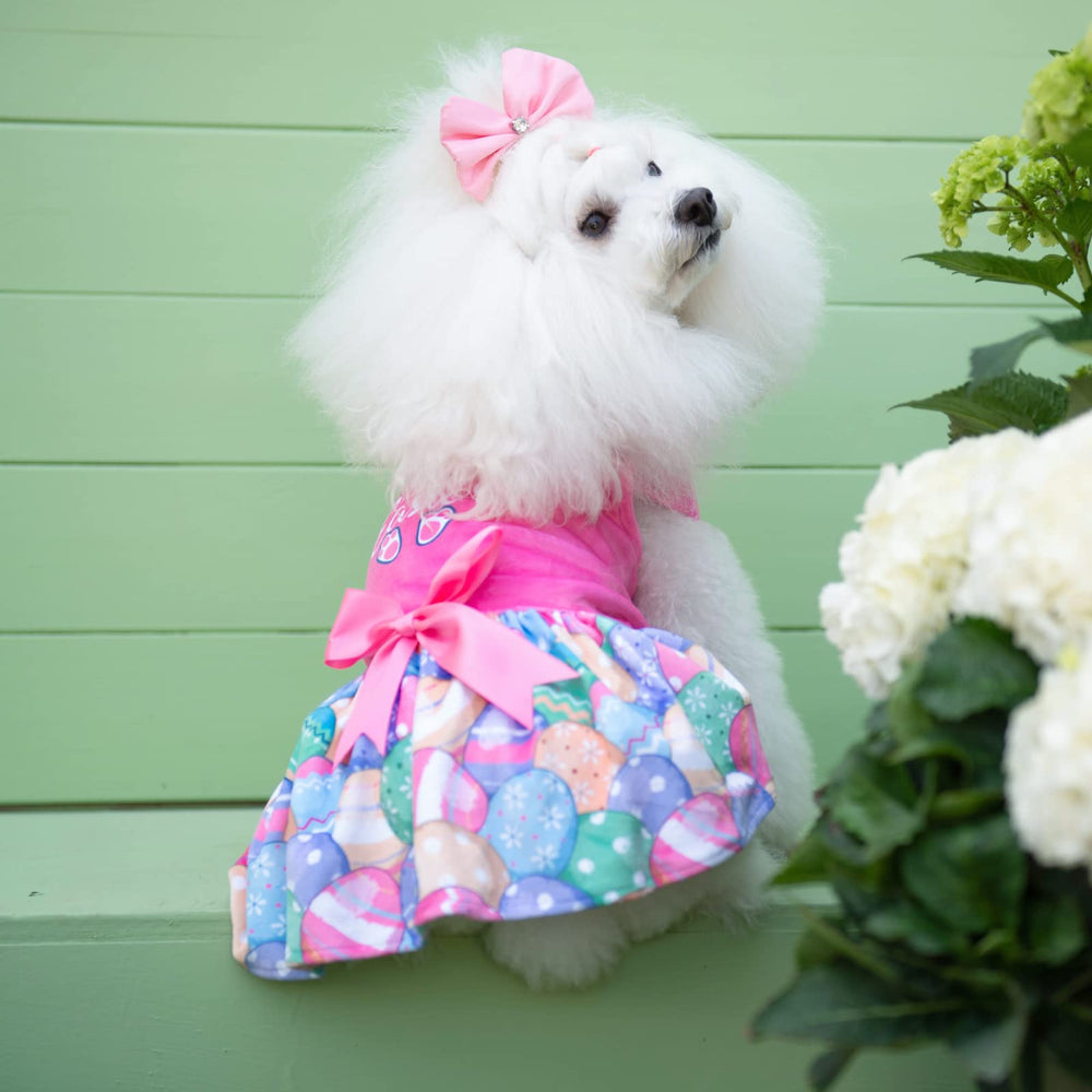 CuteBone puppy dress for weddings and photos