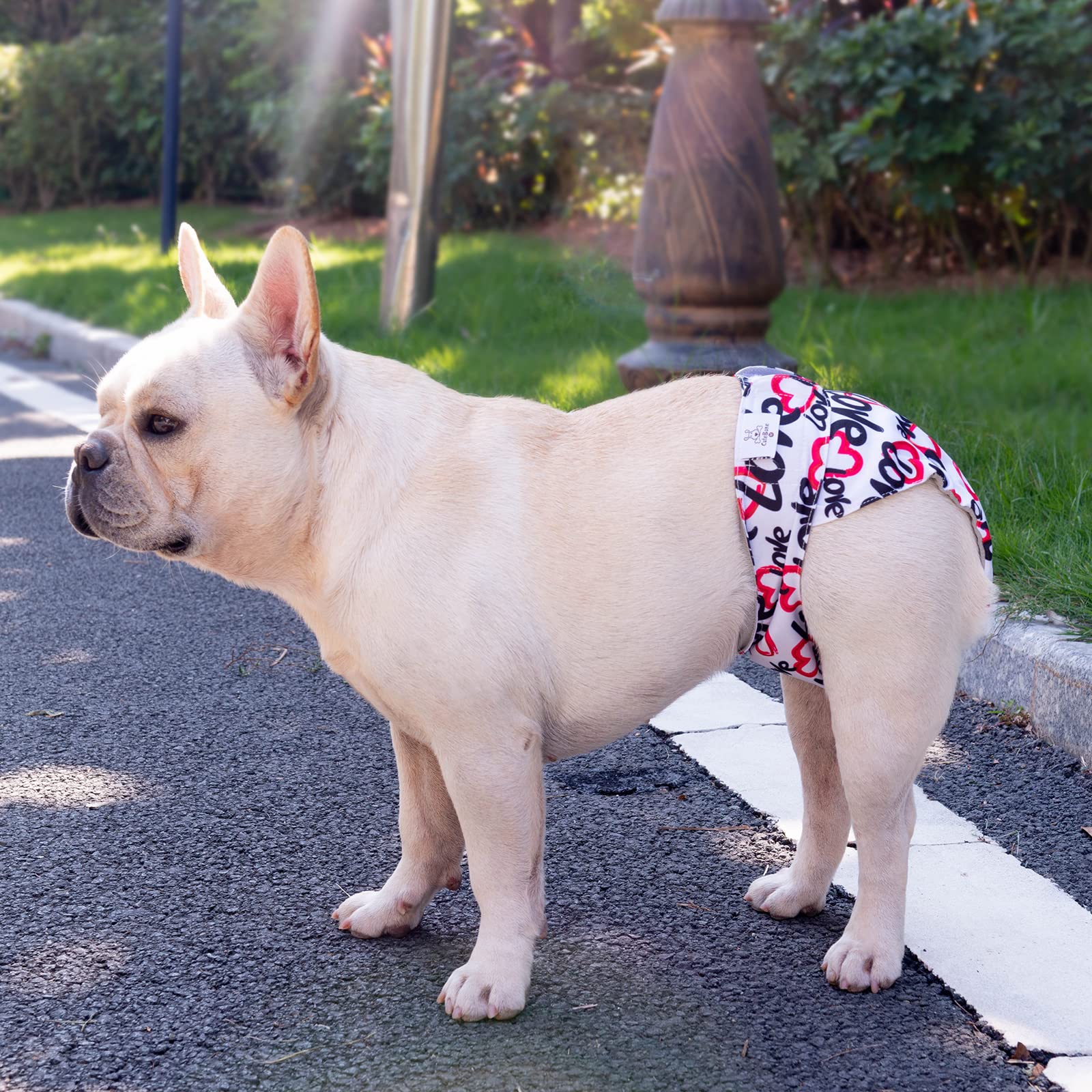 CuteBone soft fast-dry inner lining keeps your pet comfortable between walks.