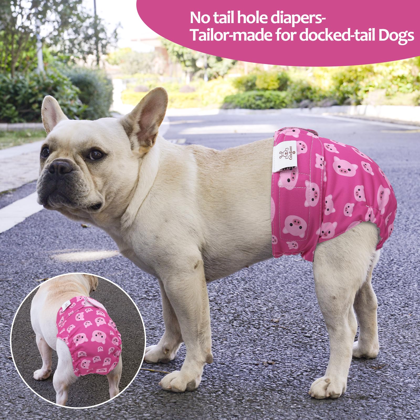 CuteBone Waterproof shell and absorbent pads prevent indoor messes for busy households.