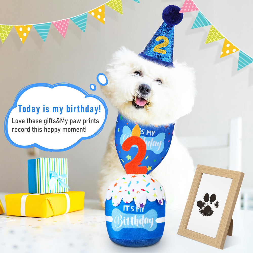 Cutecrop adjustable hat with elastic rope fits any dog.
