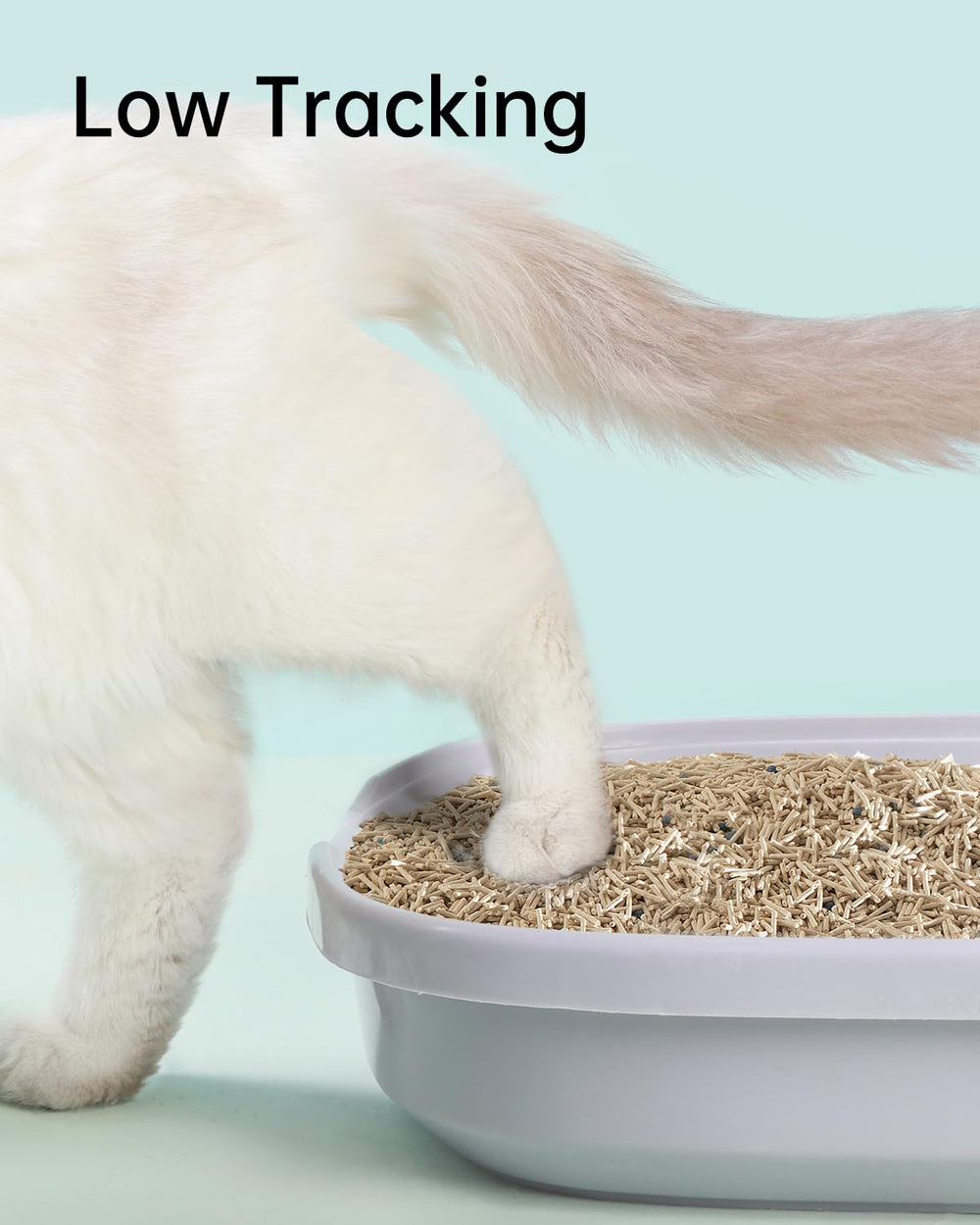 Cutepol eco-friendly blend combines tofu and bentonite for safer, efficient litter.