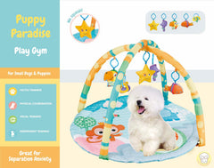 Cutie Patootie Playhouse cat play mat interactive with colorful elements