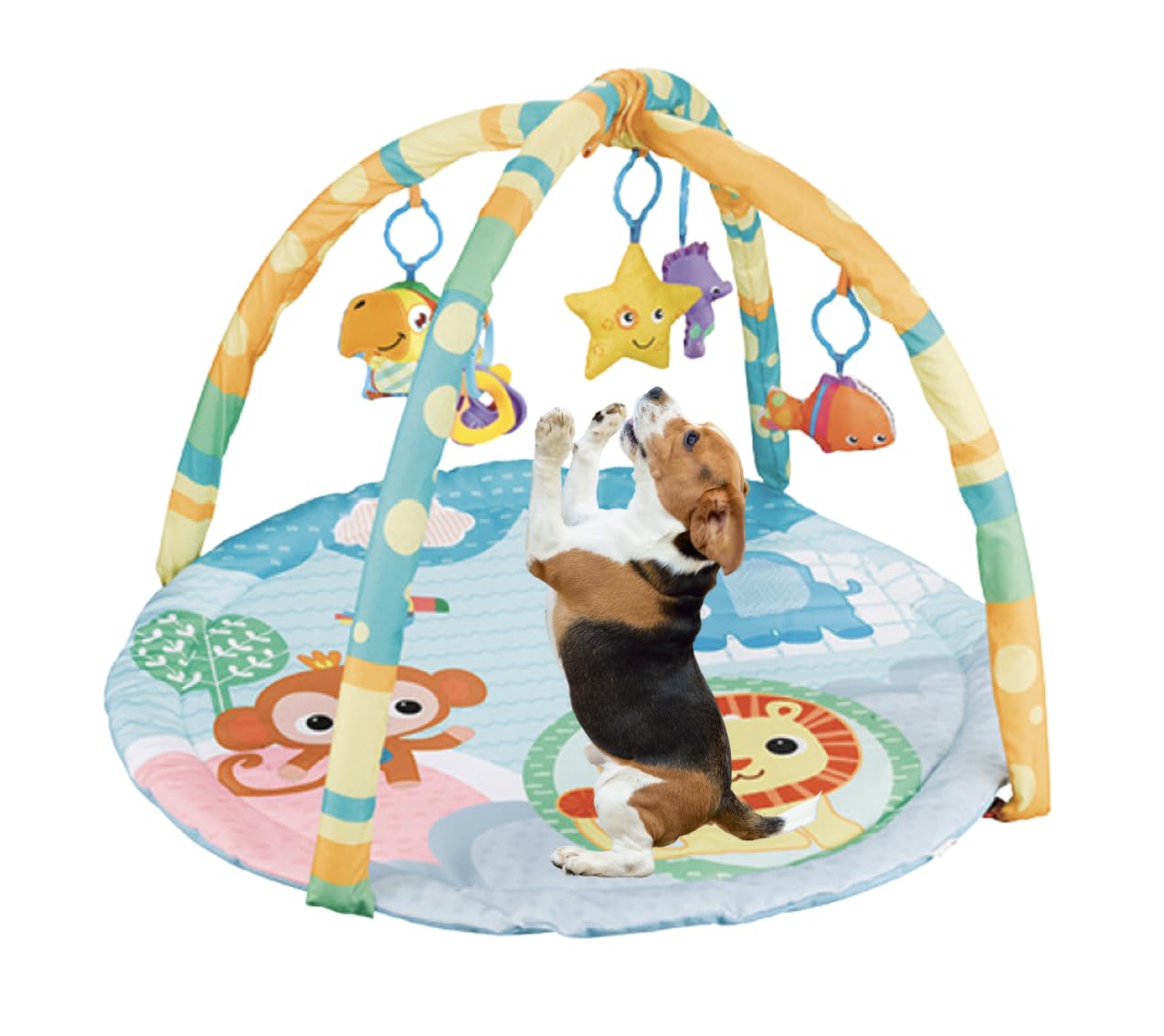 Cutie Patootie Playhouse sensory mat yellow and blue for visual engagement