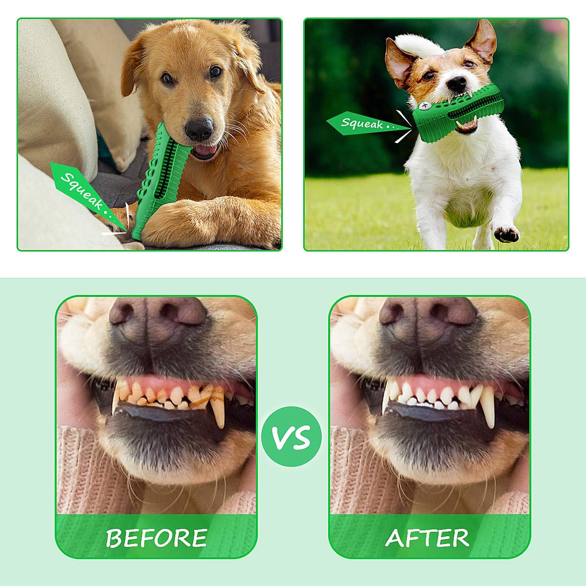 Cutiful Gator dog toy sized for 30-80 lb dogs