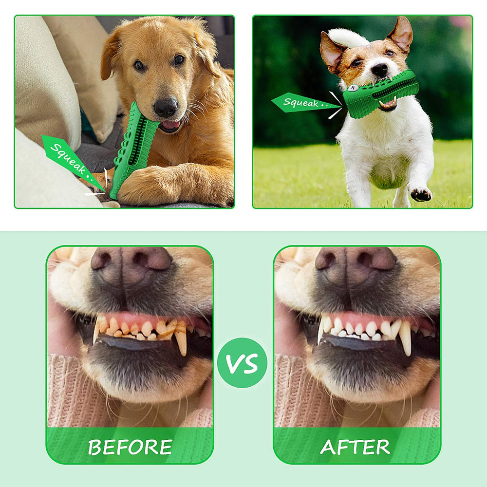 Cutiful Gator dog toy sized for 30-80 lb dogs