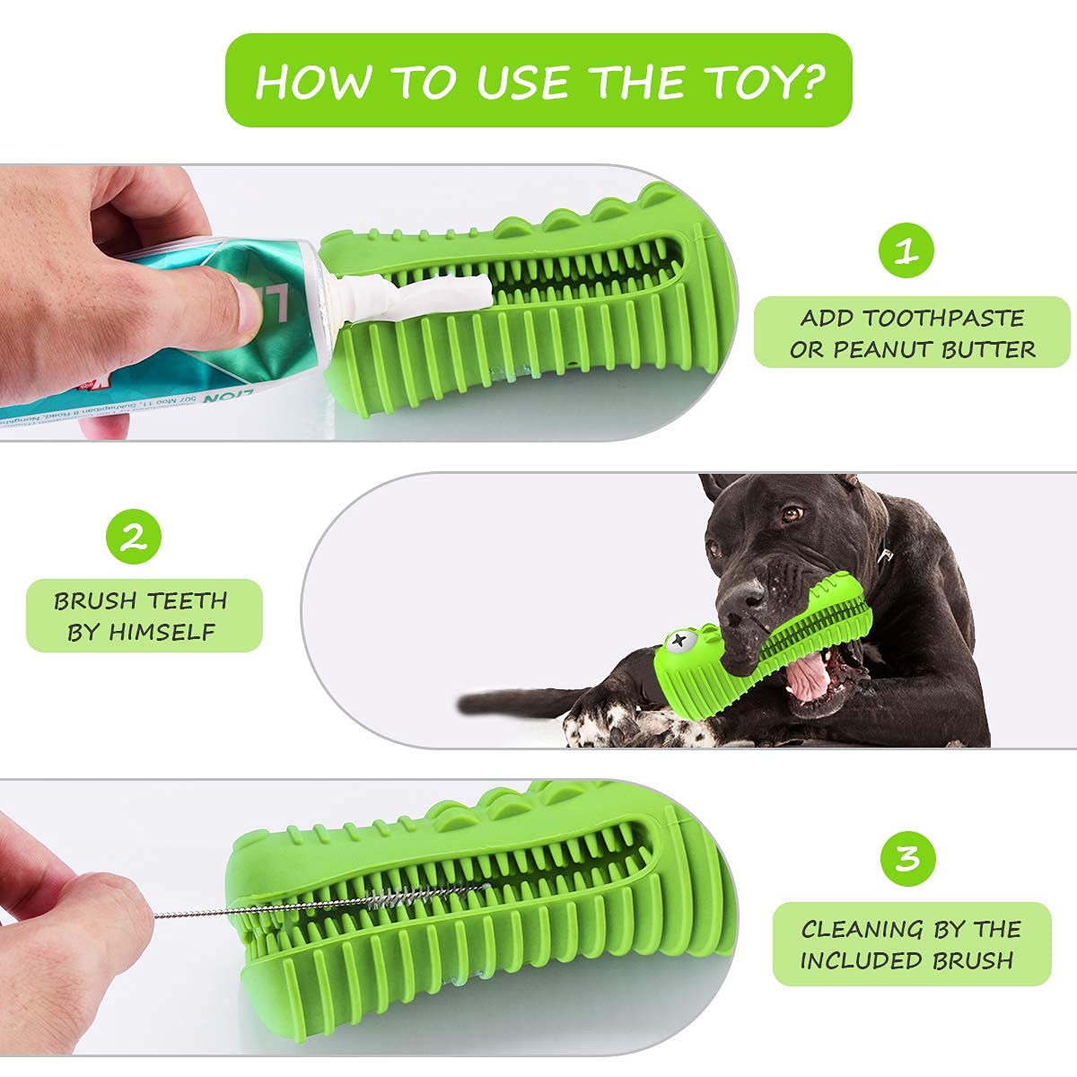 Cutiful Gator toy prepared with peanut butter for extra engagement