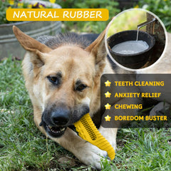 Cutiful Gator toy ridges and bristles aid dental cleaning during play.