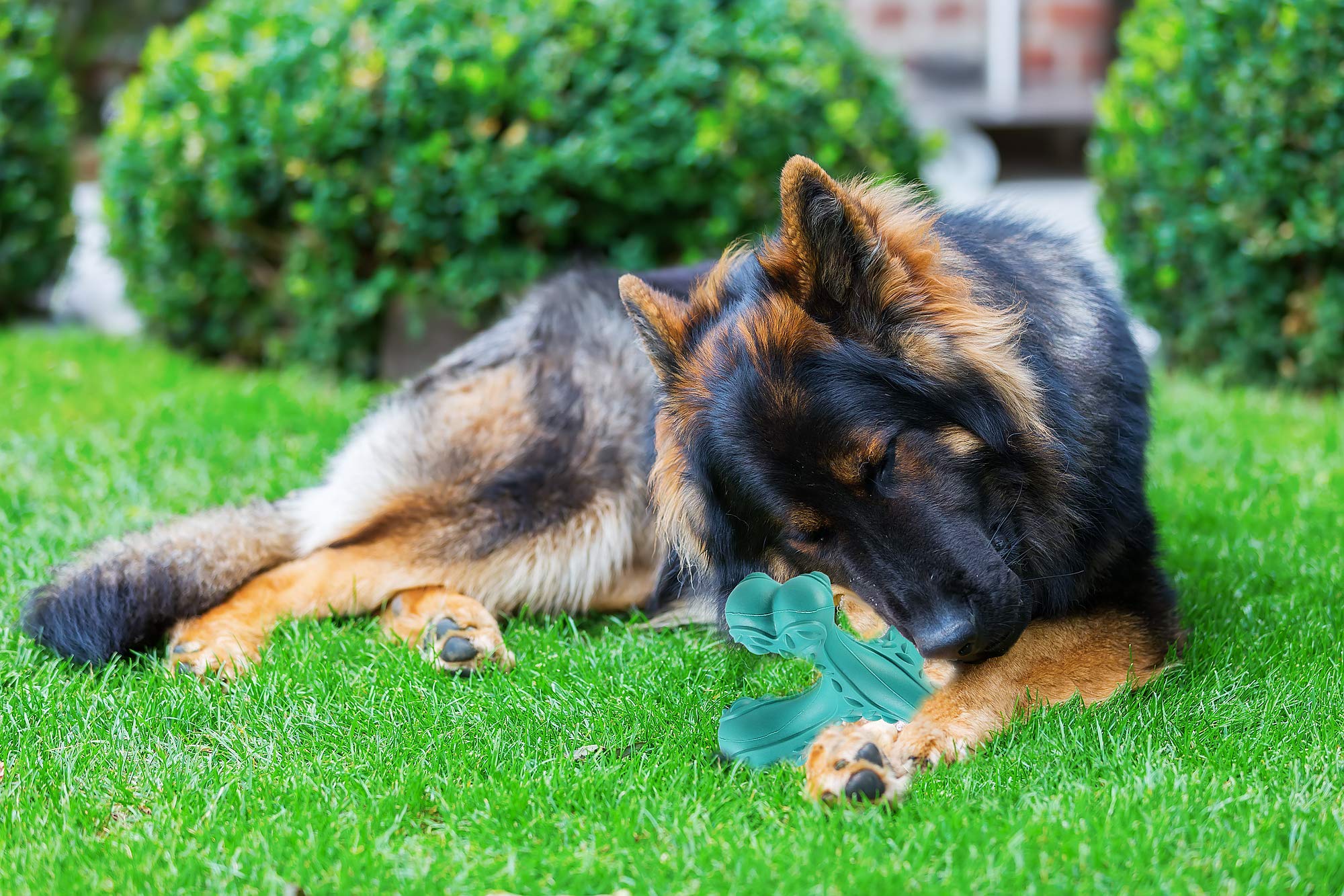 CVALIN indestructible bone toy suits medium to large dogs for durable chewing.
