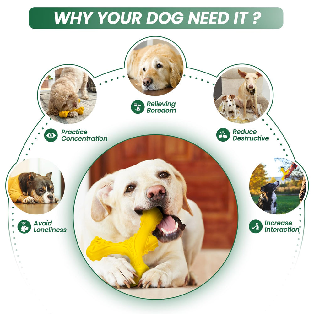 CVALIN versatile toy for indoor and outdoor use