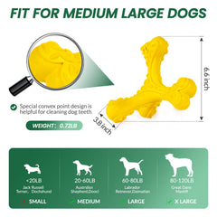 CVALIN natural rubber bone toy with textured surface