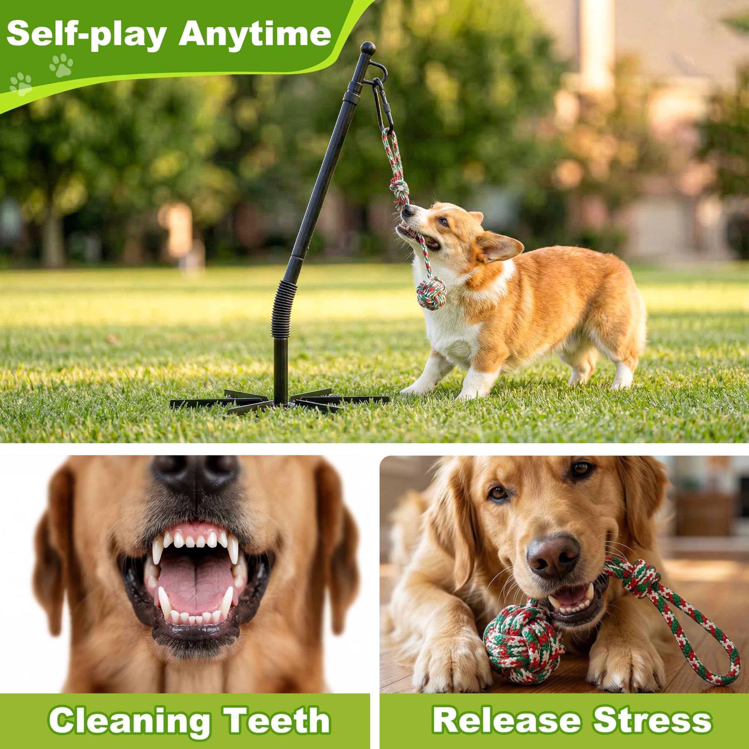 CWV jingle bell attachment adds audible cues during play
