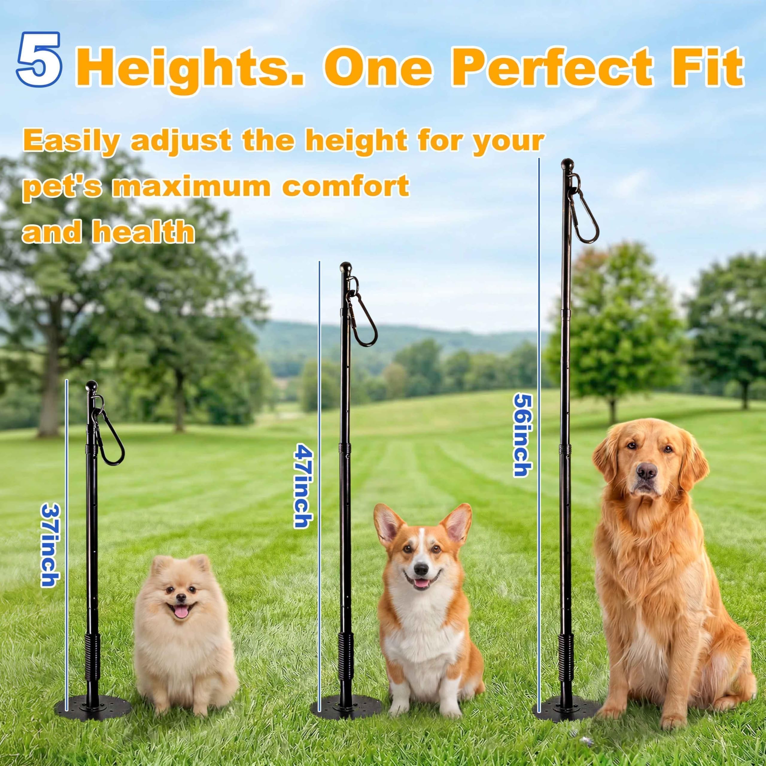 CWV durable tennis toy attachment for vigorous chewers