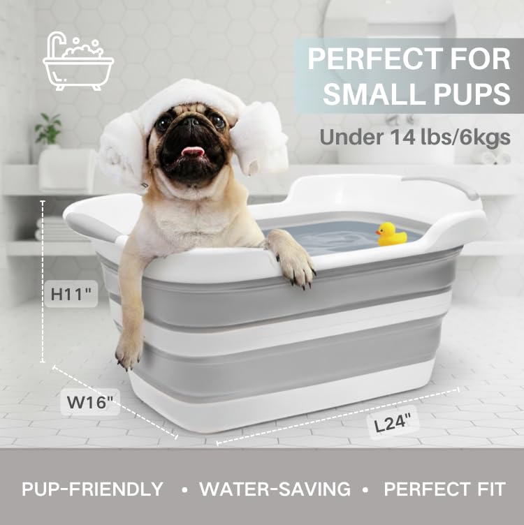 Cyanoe collapsible pet bathtub opened for easy bath time with a small dog