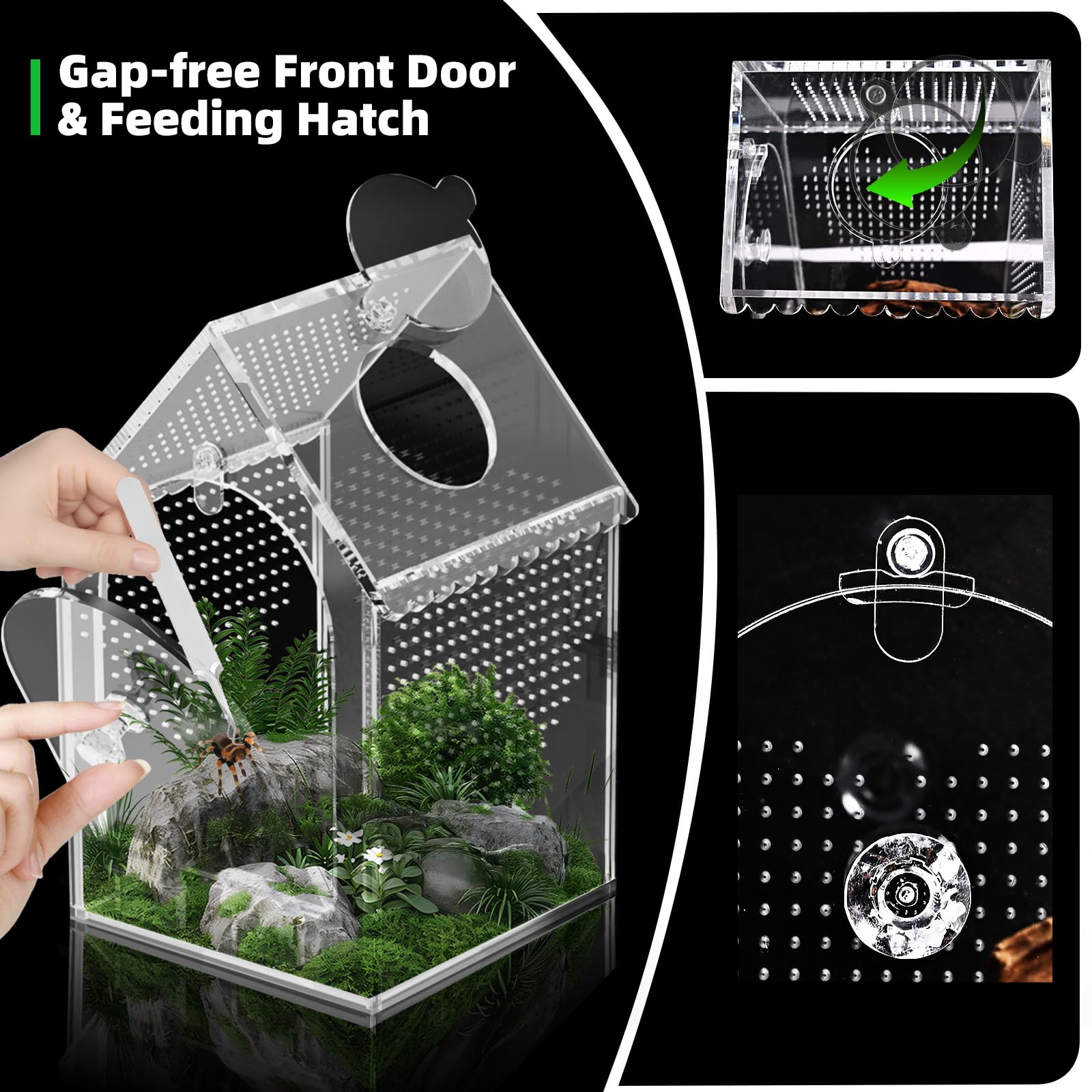 Cycodo Jumping Spider Enclosure front door and top port simplify feeding and cleaning.