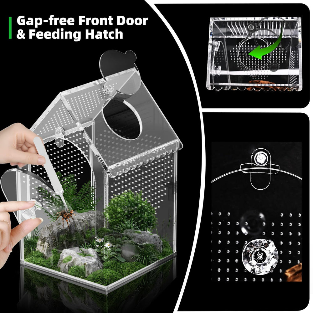 Cycodo Jumping Spider Enclosure front door and top port simplify feeding and cleaning.