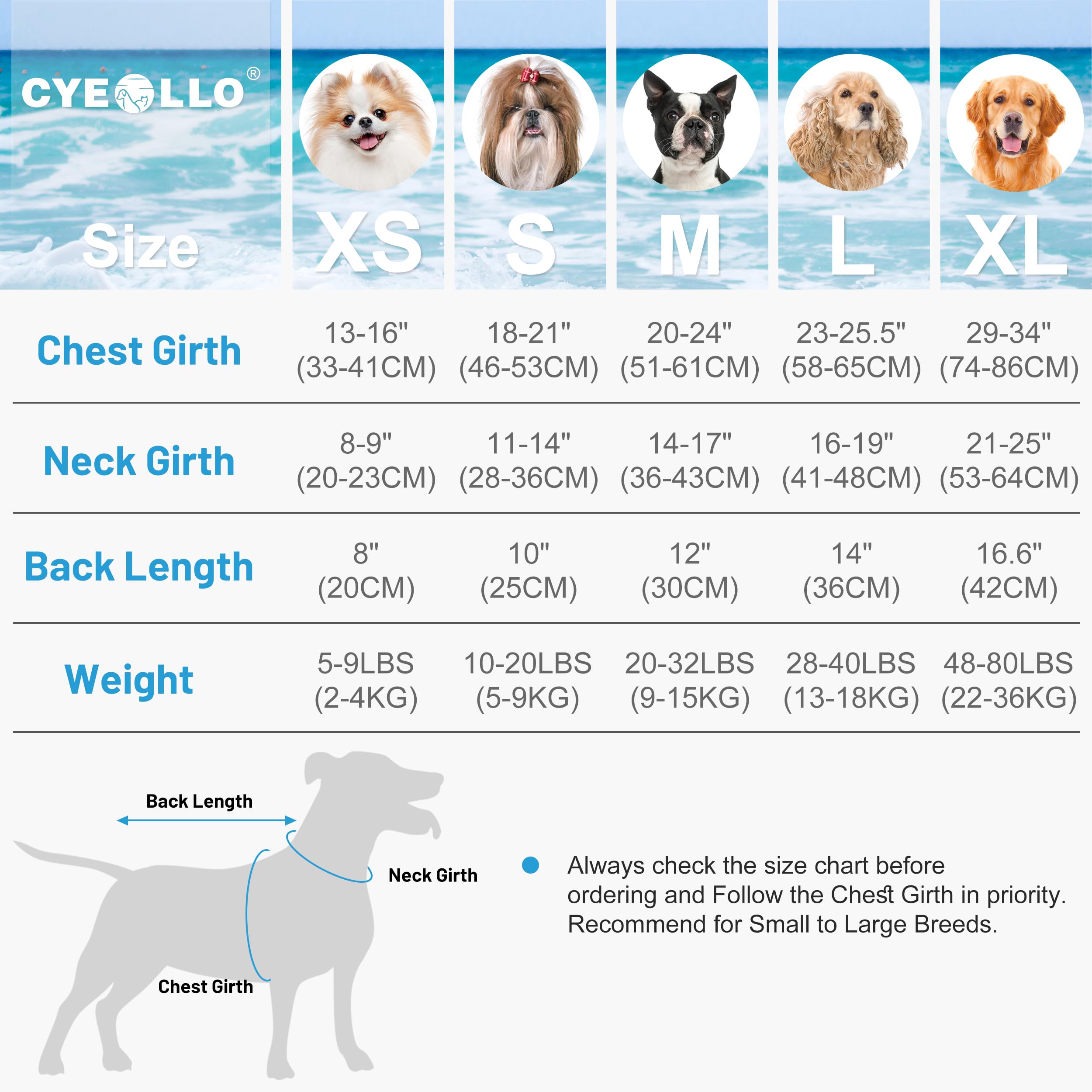 Cyeollo front chin buoyancy supports comfortable floating for active dogs.