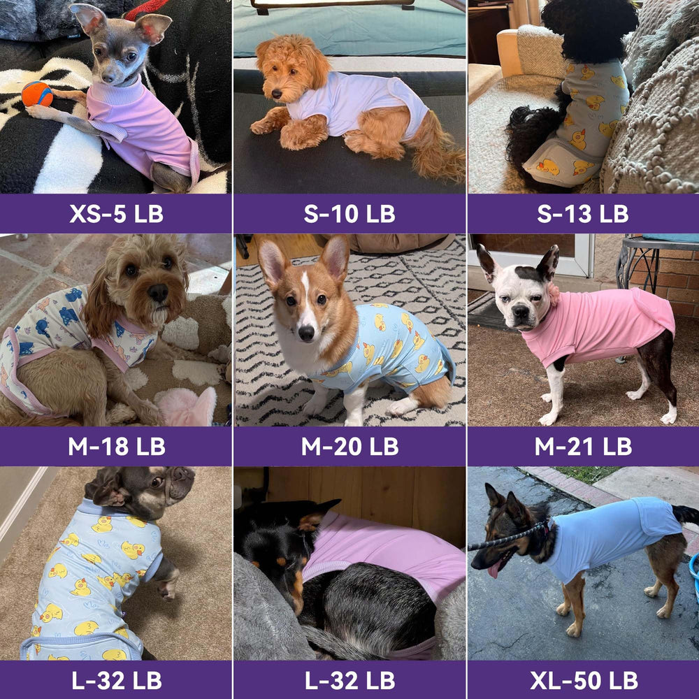 Cyeollo post-surgery comfort reduces dog anxiety during recovery.