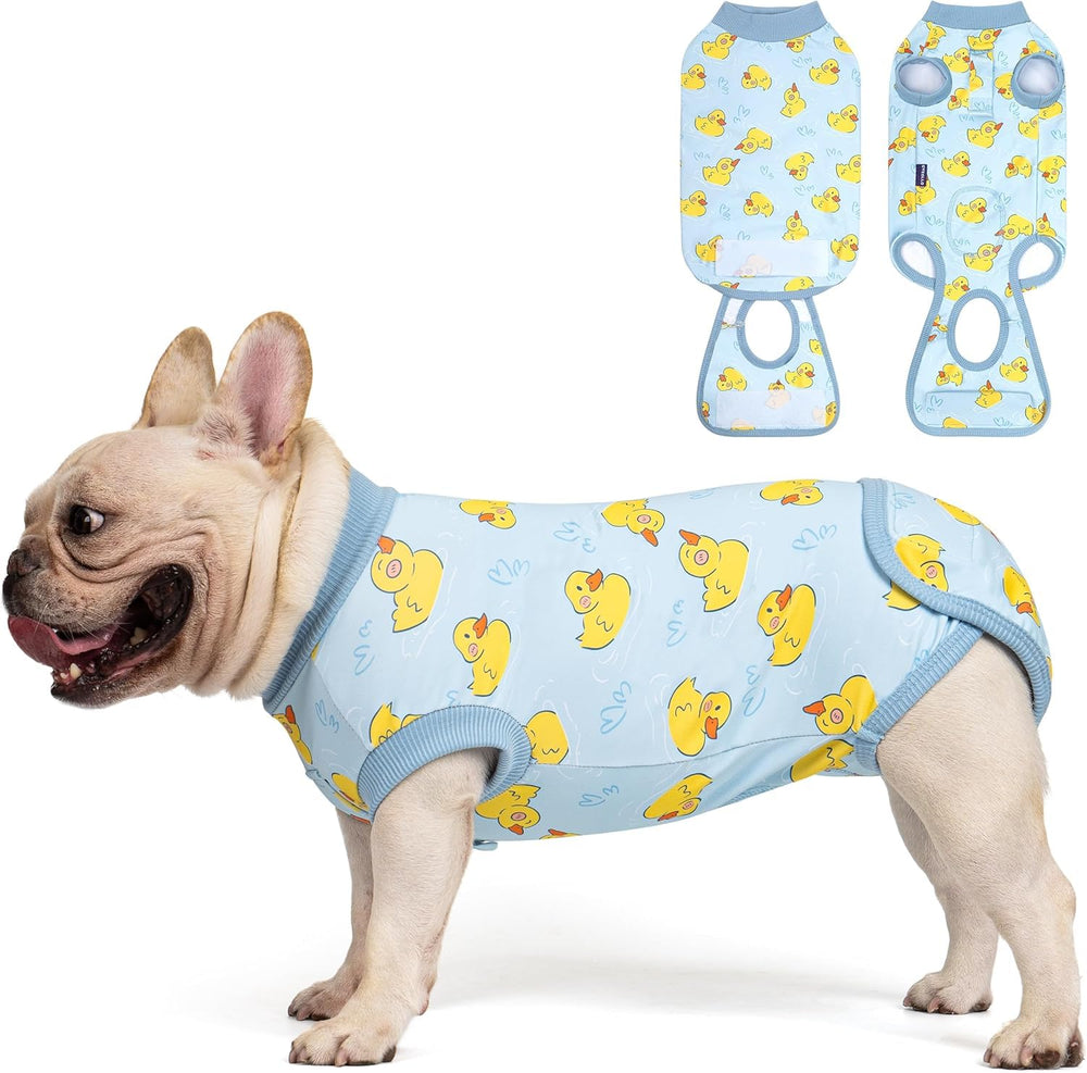 Cyeollo recovery suit for dogs after surgery protecting wounds and easing anxiety.