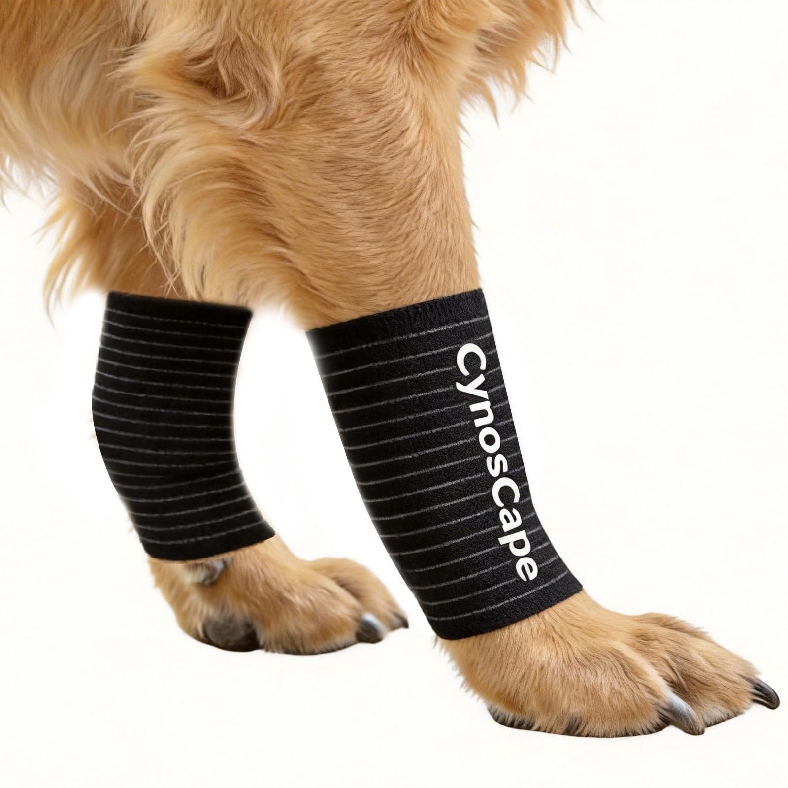 CynosCape dog leg brace front view with adjustable strap for secure front leg support.