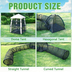 CypherX curved tunnel links tents for continuous climbing fun.