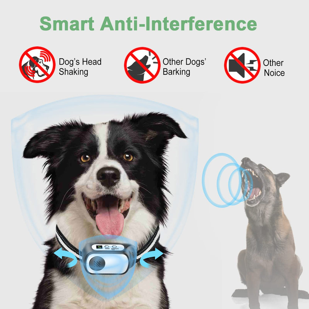CZCCWD humane training pause feature prevents over-stimulation.